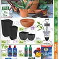 e-leclerc especial ar livre - jardim 2 a 21 fevereiro p9.jpg